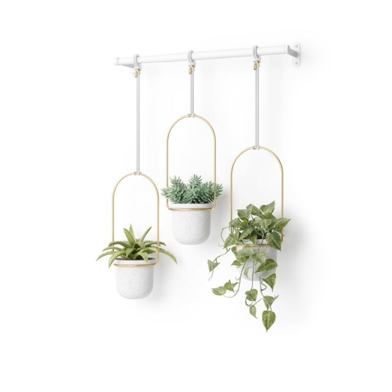 🔥 Hanging Planter for Window