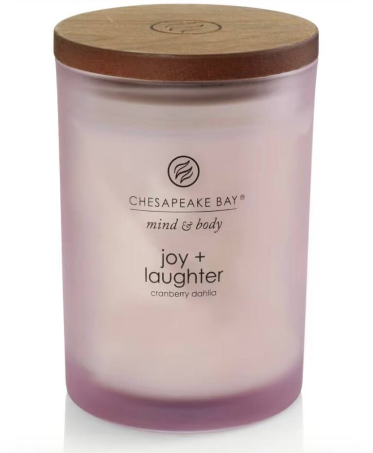 🔥 Chesapeake Bay Candle Scented Candle Joy + Laughter (Cranberry Dahlia) Medium Home Décor  — $5  (was $14)