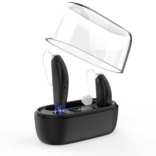 🔥 DIGGINGSOUND Hearing Aids  — $56.99  (was $159.99)