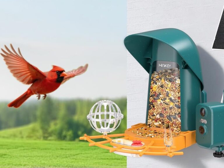 🔥 Minikey Smart Bird Feeder with Camera Only  — $35  (was $80)