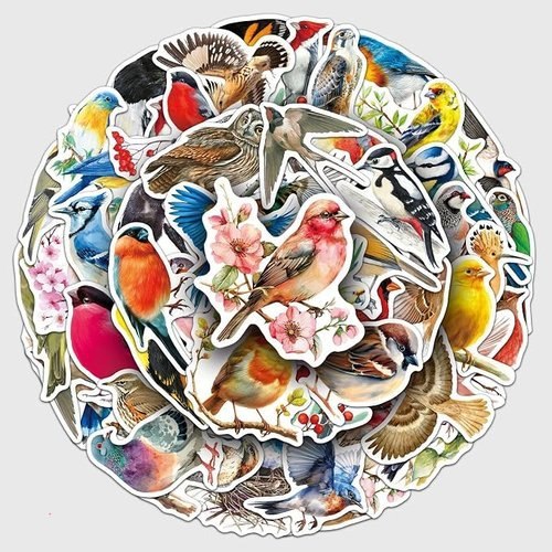Bird Laptop Stickers Pack 50 PCS Colorful Bird Vinyl Decals for Water Bottles Laptops Journals Phone Cases and Luggage f