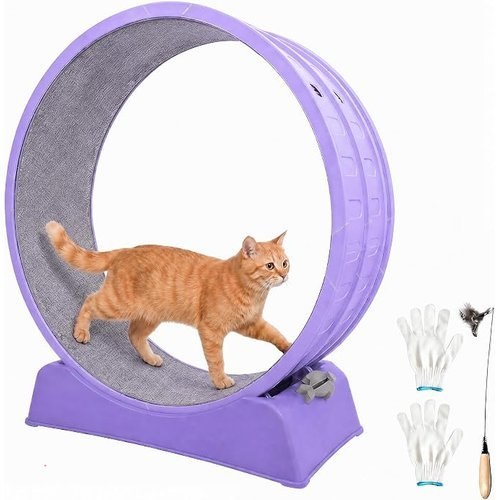 Large Cat Exercise Wheels