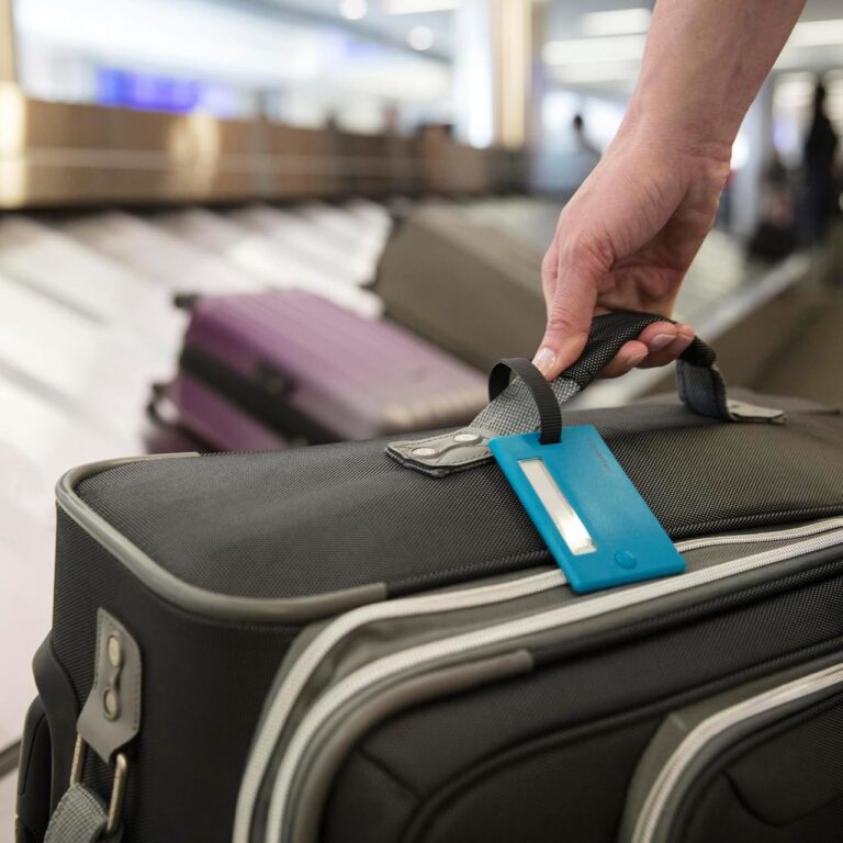 🔥 Travelon Set of 2 Luggage Tags  — $2  (was $11)